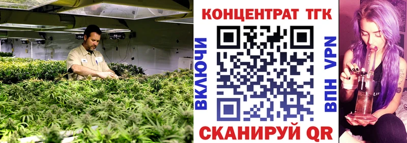 Купить где  Кедровый  Дистиллят ТГК концентрат 