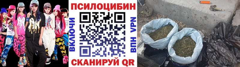 Купить  Кедровый  Псилоцибиновые грибы мухоморы 
